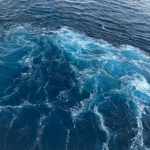 Meet your Posher, Andi